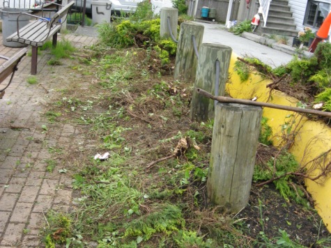 White Rock, BC - Before