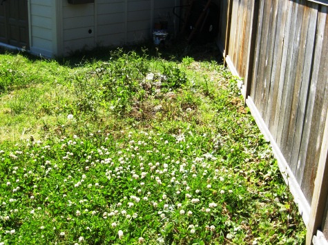 Vancouver, BC - Before