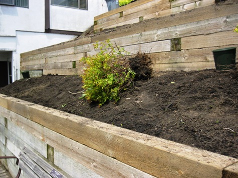 White Rock, BC - Before